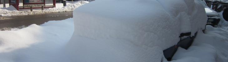 Immagine per Raccolta di firme contro la neve