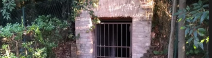 Ingresso ghiacciaia