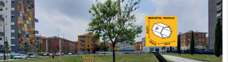 esempio aiuola