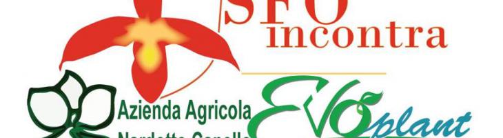 SFOincontra