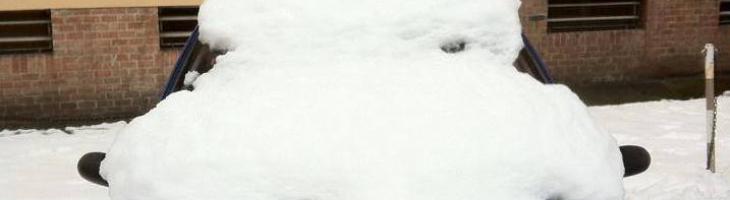 Immagine per Grazie Nevone