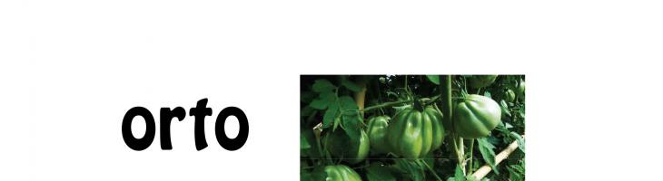 orto: martedì prossimo cipolle e ravanelli