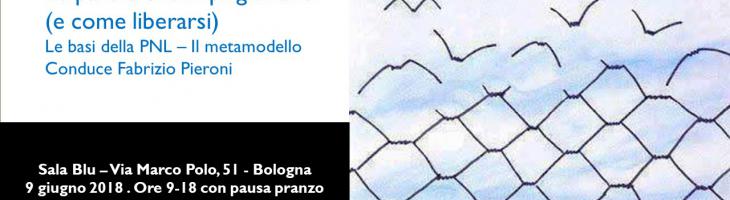metamodello PNL