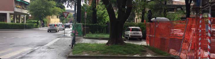 aiuola foto