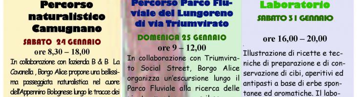 Immagine per DA BORGO ALICE :RINVIO  INIZIATIVA "I COLORI D'AUTUNNO" 
