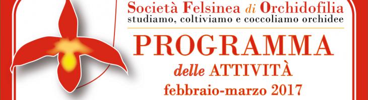 Società Felsinea di Orchidofilia