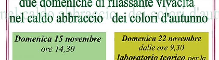 https://www.facebook.com/BORGO-ALICE-501189259934784/