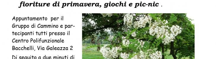 Le nuove fioriture di primavera con Borgo Alice