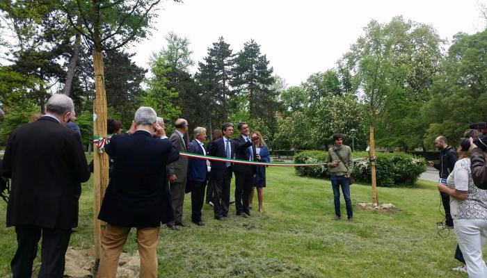inaugurazione
