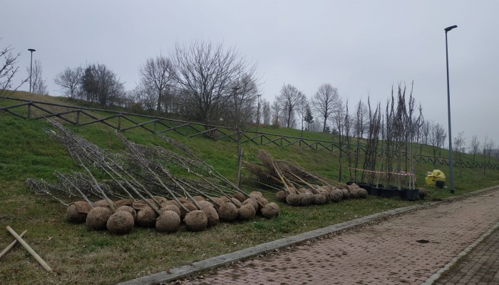 foto attività