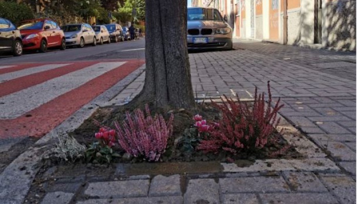 foto attività