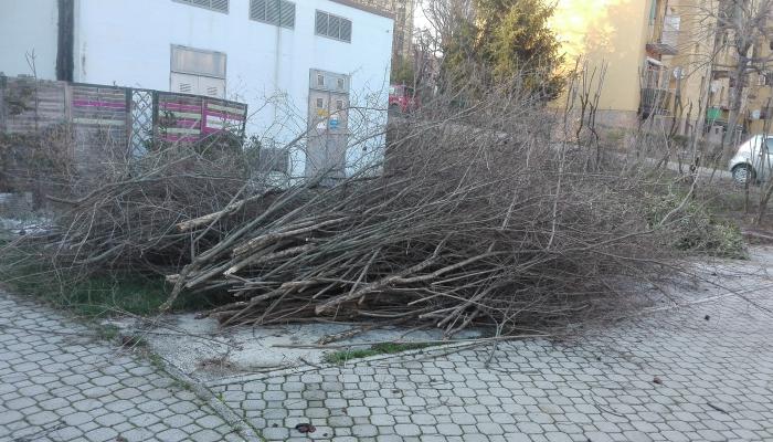 sistemazione giardino