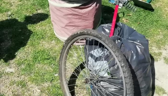 cosa è possibile trovare in mezzo ai cespugli del giardino...