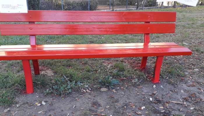 foto attività
