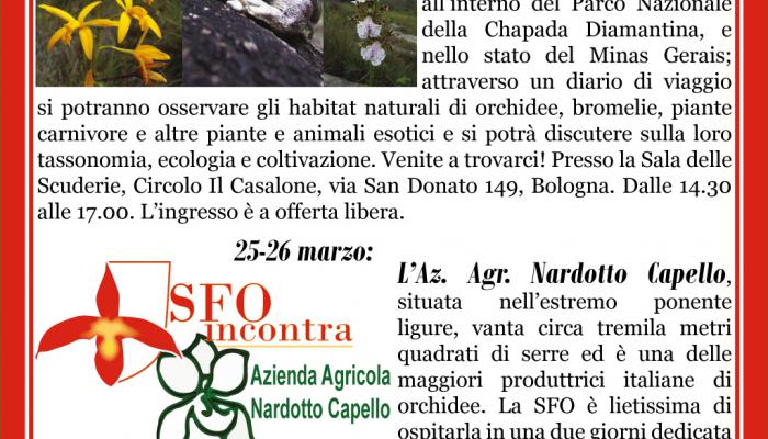 Società Felsinea di Orchidofilia