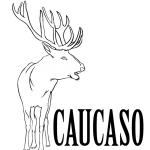 caucaso associazione culturale