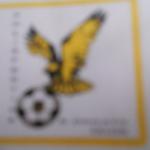 calcio dai 5 ai ..........anni