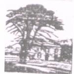 Centro Sociale e Culturale Villa Paradiso
