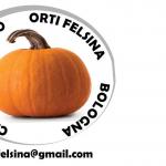 logo Centro Ricreativo Orti Felsina