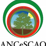 quercia contornata da colori bandiera italiana