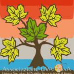 U.V.a.P.ass.A (Unione Volontari al Pratello Associazione d'Aiuto)