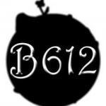 Logo Associazione Culturale B 612