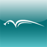 Logo Arcanto