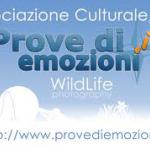 provediemozioni.it