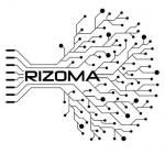Rizoma