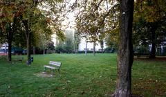 Immagine per 03 1