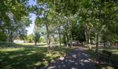 Immagine per nuovo parco delle querce   foto 1