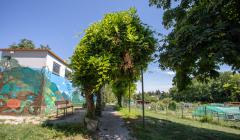 Immagine per vieni nel parco anche tu   foto 1