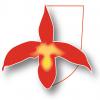 Immagine per favicon 512