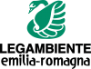 Immagine per logo emilia romagna 0