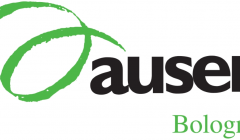 Immagine per Sostegno ai bambini stranieri nelle scuole del Quartiere Savena