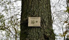 AFB - Parco botanico San Donnino - progetto "conoscere e riconoscere gli alberi"